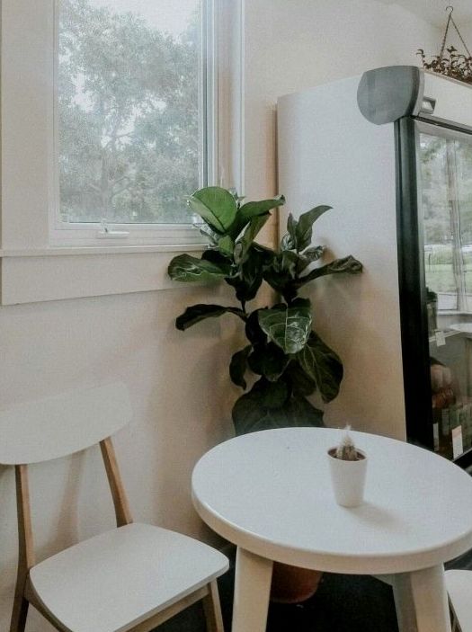 Sustainable materials